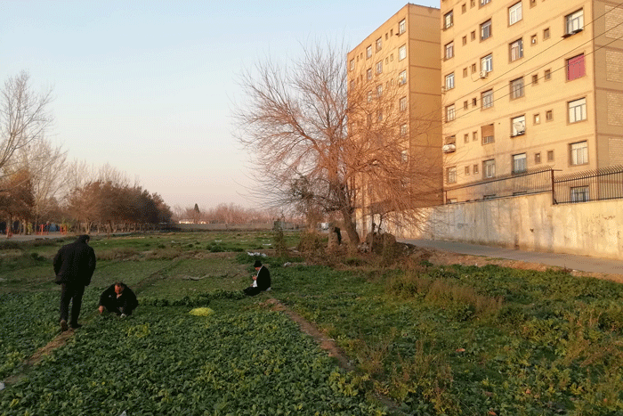 روستای ۱۰۰ ساله حوالی میدان آزادی | آسمان ابراهیمآباد همیشه آبی است