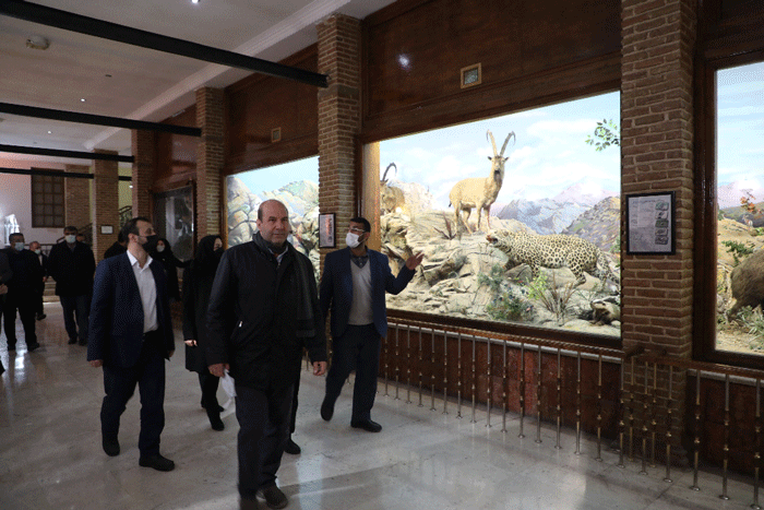 بستههای تشویقی جدید برای بافت فرسوده منطقه