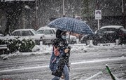 برف و یخبندان در تهران | کاهش محسوس دمای هوای پایتخت