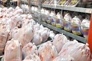 ماجرای عجیب مرغ ‌هایی که از سردخانه پر کشیدند | ۲۳ تن مرغ آلوده وارداتی چگونه سر از تهران و ... درآوردند؟