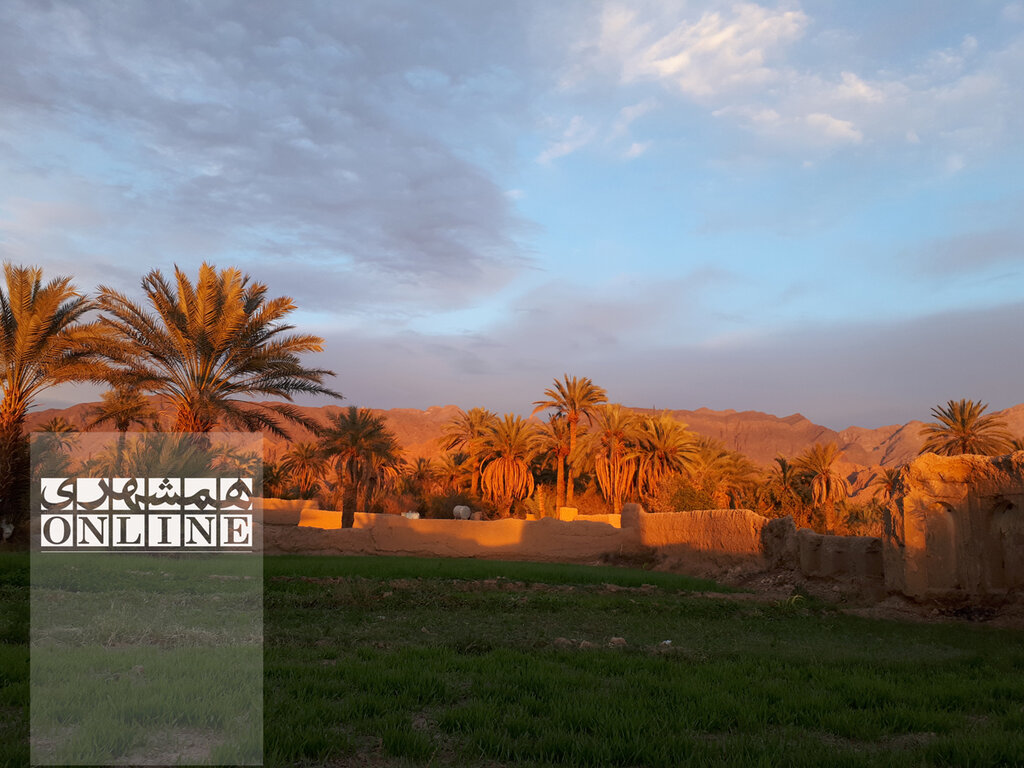 ببینید | معماری عجیب یک مسجد در اصفهکِ طبس | ستونهای خشتی که کار بیسیم را میکنند