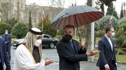 تصاویر | یک استقبال دیپلماتیک زیر باران | چتری برای دو وزیر