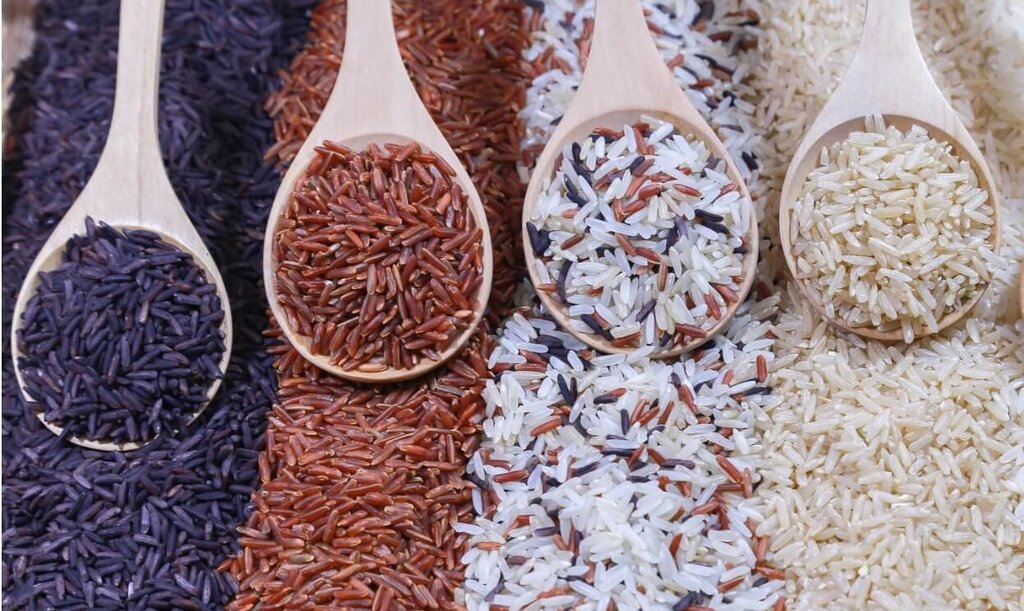 تصویر زیرزمینی برنج فروشی دوره قاجار از چه زمانی ایرانی ها برنج می خورند؟  |  ریشه اصطلاح پیلاخوری
