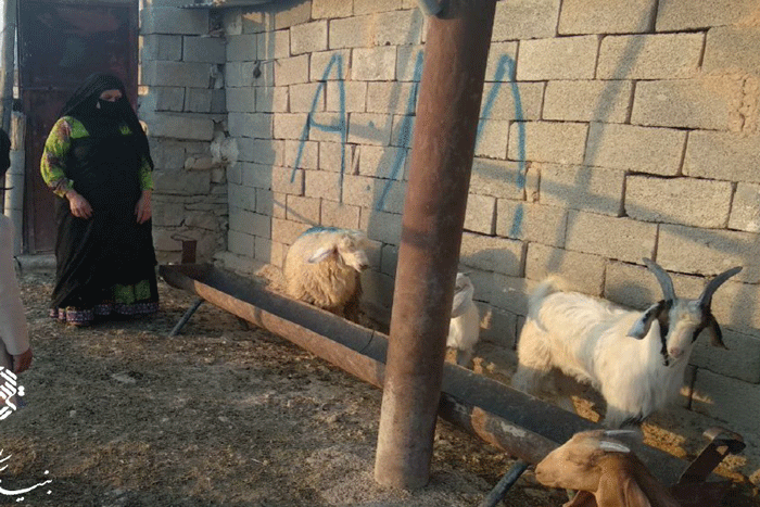 نیکوکاری از غرب تهران تا نقطه صفر مرزی | کودک سیستانی دربغل خواهر شهید تندگویان