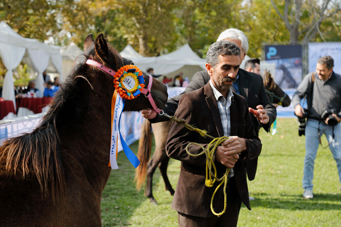 اسبت را زیـن کـن! | یک تفریح فوقالعاده جذاب در نورزوآباد | بزرگترین و قدیمیترین باشگاه سواری کاری کشور در روستایی حوالی پایتخت