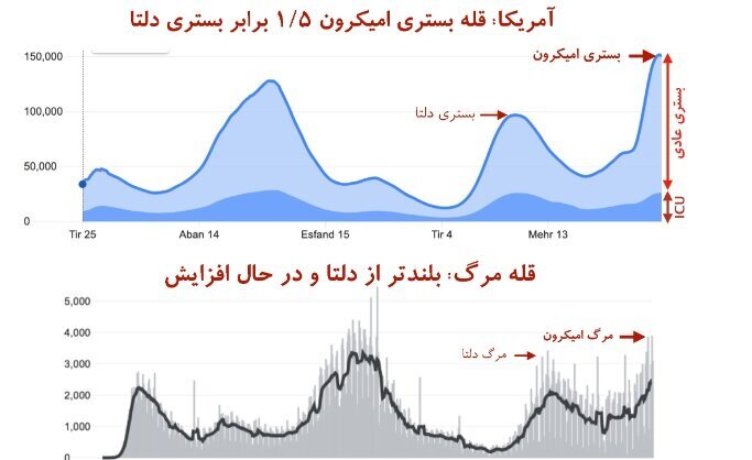 قله اوج امیکرون بلندتر از دلتا