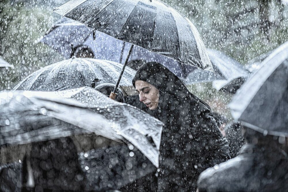 مرد بازنده فردا به کاخ جشنواره میآید | مروری بر فیلمهای آغازگر جشنواره چهلم فیلم فجر