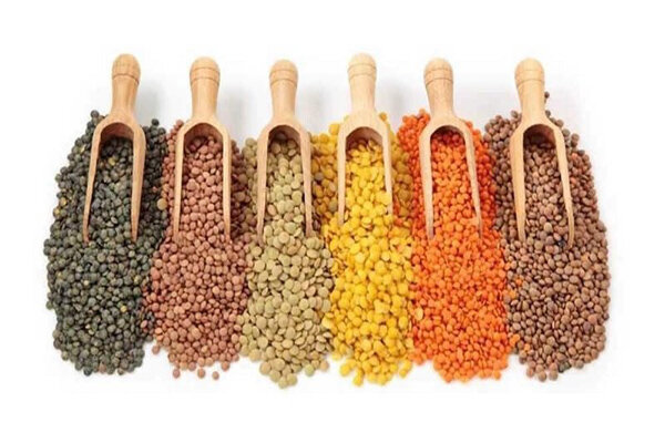 دستور تهیه ۵ نوع غذای خوشمزه و رژیمی با عدس