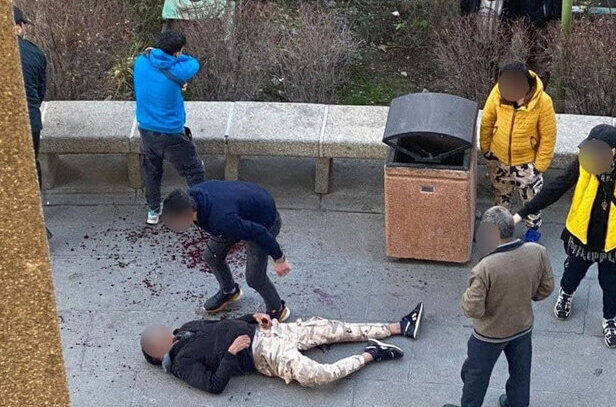 تصاویر و جزئیات قمه کشی خونین در پارک دانشجوی تهران | پلیس: ادعای «گنده لاتی» داشتند!