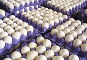 اعلام قیمت رسمی هر شانه تخم‌ مرغ | مردم تخم‌ مرغ نمی‌خرند؟