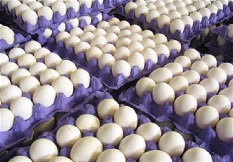 عرضه تخم‌مرغ زیر قیمت مصوب  در بازار | هر شانه تخم مرغ چند شد؟