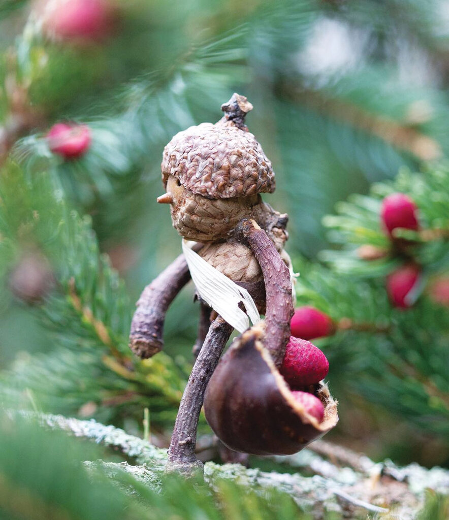 عکاس رؤیاها