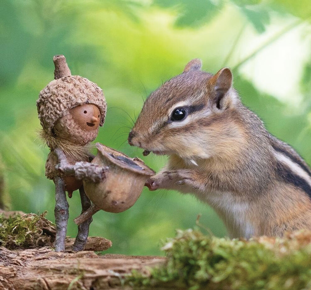 عکاس رؤیاها