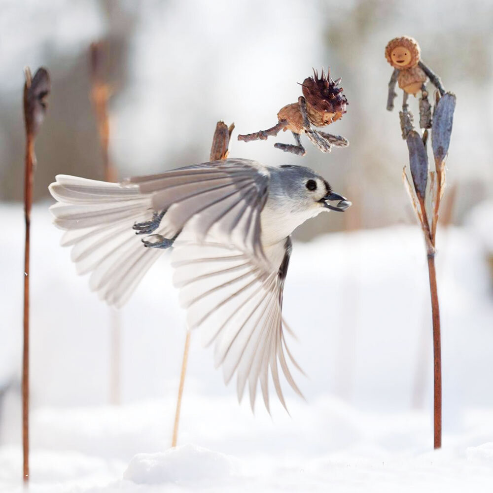 عکاس رؤیاها