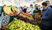 تقاضای خرید میوه به نصف رسید | جدیدترین قیمت سیب گلاب، طالبی، زرآلو، گیلاس و خیار