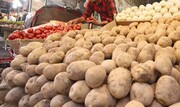 سیب‌زمینی ارزان می‌شود؟ |  قیمت سیب‌زمینی در میادین و بازار