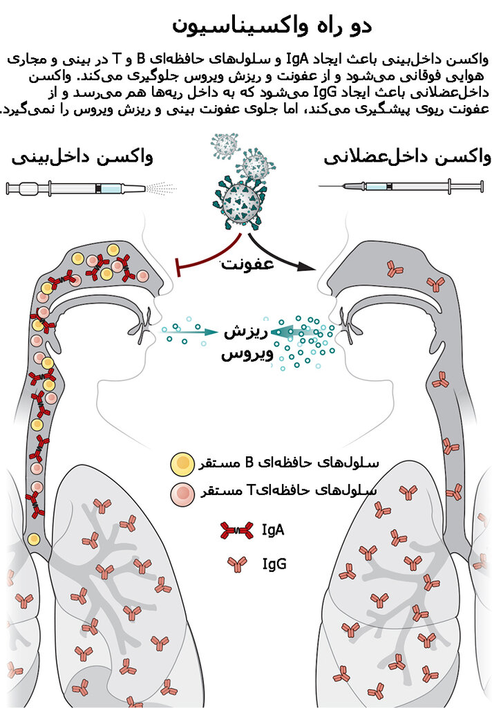 واکسن کرونای که اکنون به آن نیاز داریم ممکن است ترزیقی نباشد