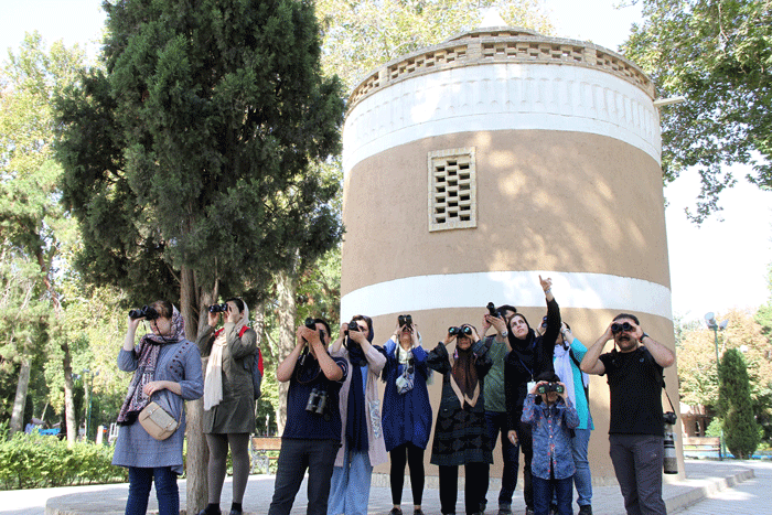 پرندگان مهاجر اروپای شرقی در زیستگاههای پایتخت | چرخ ریسک بزرگ؛ پرنده بومی تهران