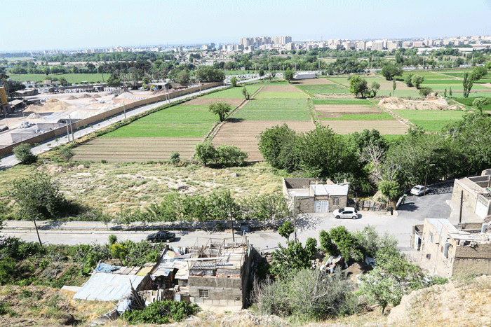 نفت به زمینهای کشاورزی عظیمآباد رسید | ذرت و سبزی با طعـم نفـت