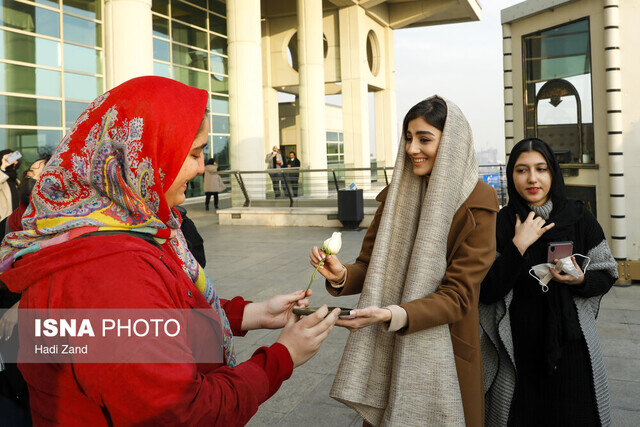همه اتفاقاتی که در روز پنجم جشنواره افتاد | از حضور دوباره پژمان جمشیدی تا حواشی در مورد چرایی نبود داور خانم در بین هیات داوران