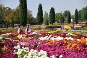بلندمرتبه‌ها باغ ملی را می‌بلعند | ۸ هزار خانه در همسایگی بزرگترین باغ خاورمیانه