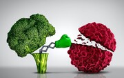 رژیم غذایی سالم می‌تواند به پیشگیری از سرطان‌ها کمک کند| مواد غذایی که با سرطان‌ها ارتباط دارند