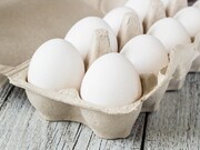 روش درست گذاشتن تخم مرغ در یخچال که نمی‌دانستید