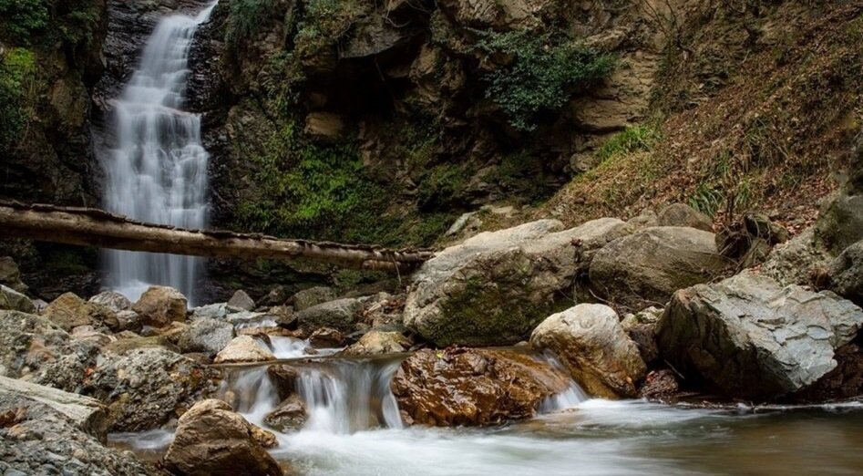 عکس | پنیر سیاهمزگی گیلان ؛ رقیب بهترین پنیرهای دنیا | روستایی جنگلی که گردشگران خاطرخواه پنیرش شدهاند