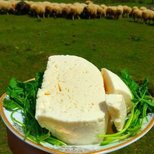 عکس | پنیر سیاهمزگی گیلان ؛ رقیب بهترین پنیرهای دنیا | روستایی جنگلی که گردشگران خاطرخواه پنیرش شده‌اند