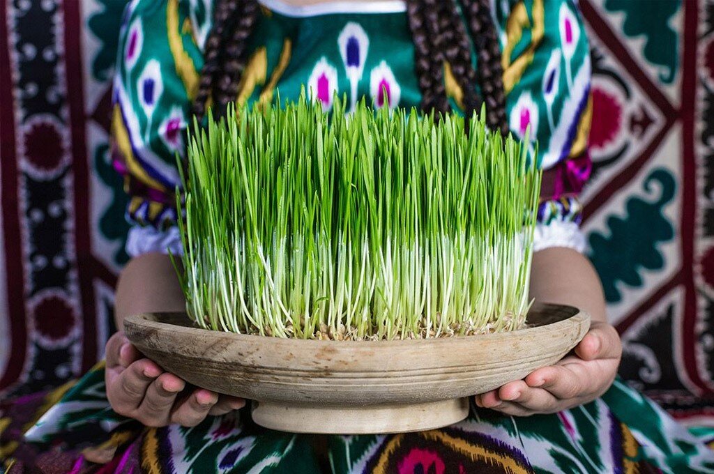 Green Nowruz - سبزه عید نوروز
