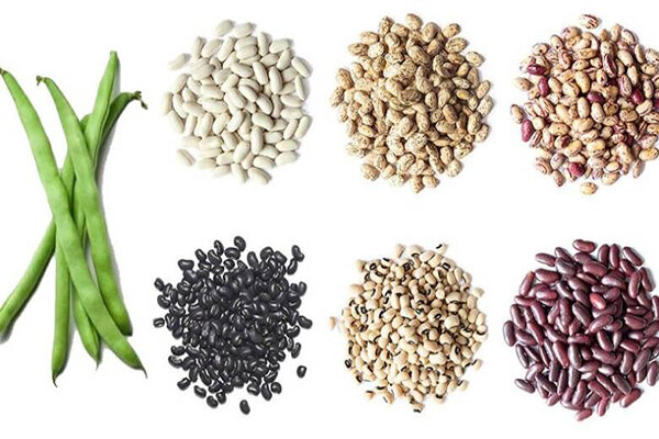 معجزه داشتن موهای پرپشت با این خوراکی خوشمزه