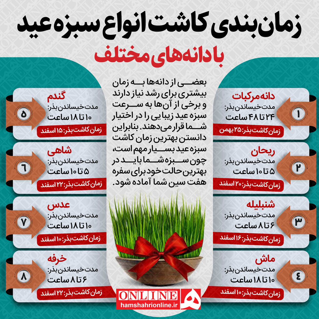 اینفوگرافیک | بهترین زمان برای کاشت سبزه عید نوروز با انواع دانه | راز پر پشت شدن سبزه عید نوروز