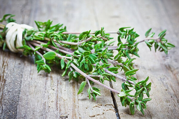 خواص معجزهآسای آویشن و اسطوخودوس ؛ دو گیاه دارویی با خواص ضد سرفه و آرامبخش را بشناسید