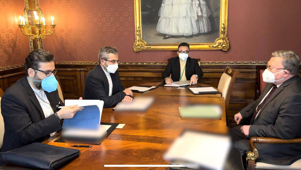 تعاملات نزدیک ایران و روسیه برای پیشرفت در مذاکرات | گزارش اولیانوف پس از دیدار با علی باقری