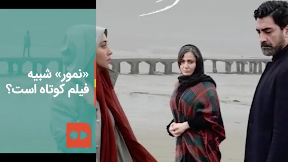 نشست خبری فیلم نمور در آخرین روز جشنواره فیلم فجر