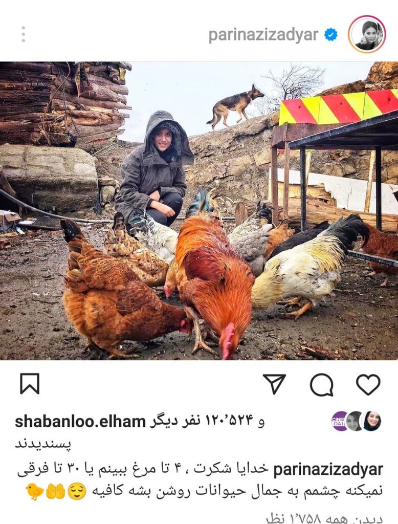 حمله پریناز ایزدیار به داوری جشنواره فجر