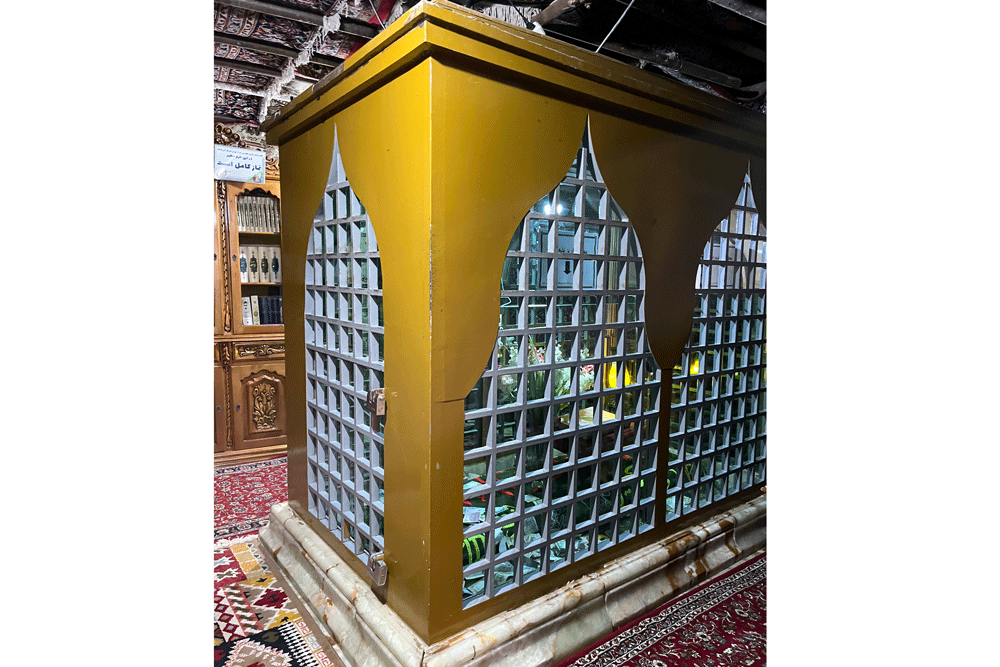 نواده امام چهارم در روستای همهسین