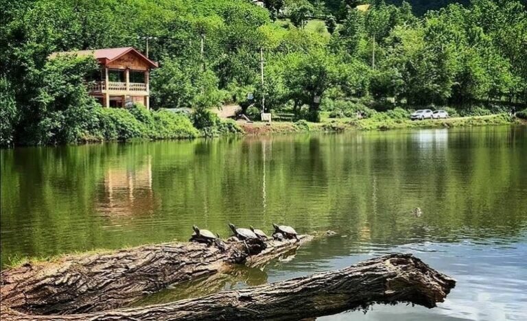 عکس | عروسهای دیدنی ایران | جایی در جنوب که شبیه رامسر شمال است | بازدید از ده عروس در خانههای زیرزمینی | عروسی که از روی سنگ خود را پرت کرد دریاچه عروس