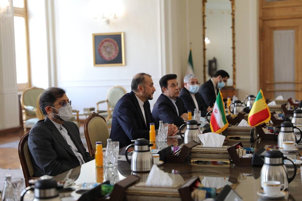 تصاویر| استقبال، دیدار و گفت‌وگوی امیرعبداللهیان با وزیر خارجه مالی