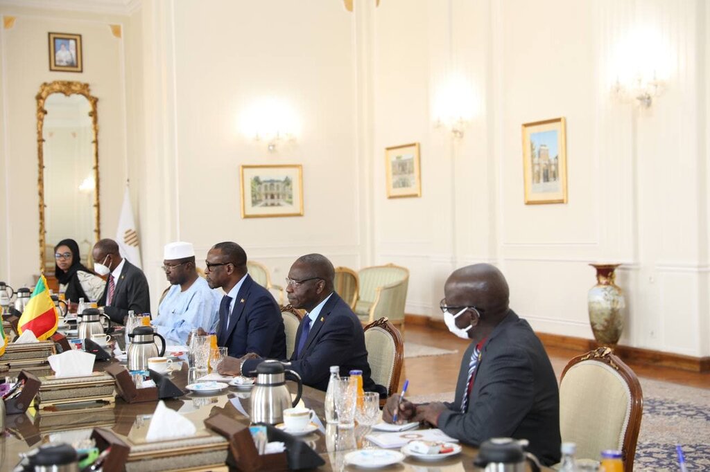 تصاویر| استقبال، دیدار و گفتوگوی امیرعبداللهیان با وزیر خارجه مالی