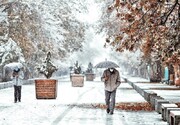 بارش باران و برف در تهران تا کی ادامه دارد؟ | دمای هوا در فیروزکوه به ۹ درجه زیر صفر رسید