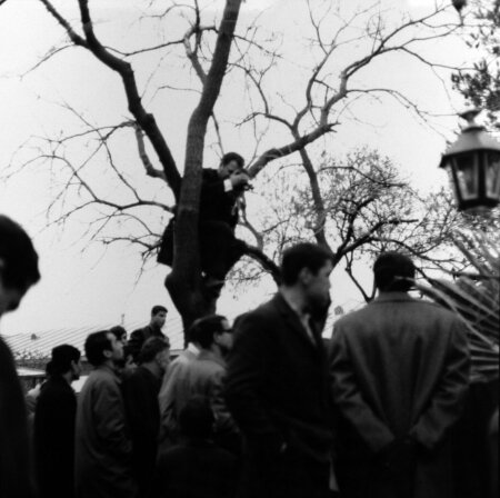 تصاویر | تشییع و خاکسپاری فروغ فرخزاد در گورستان ظهیرالدوله