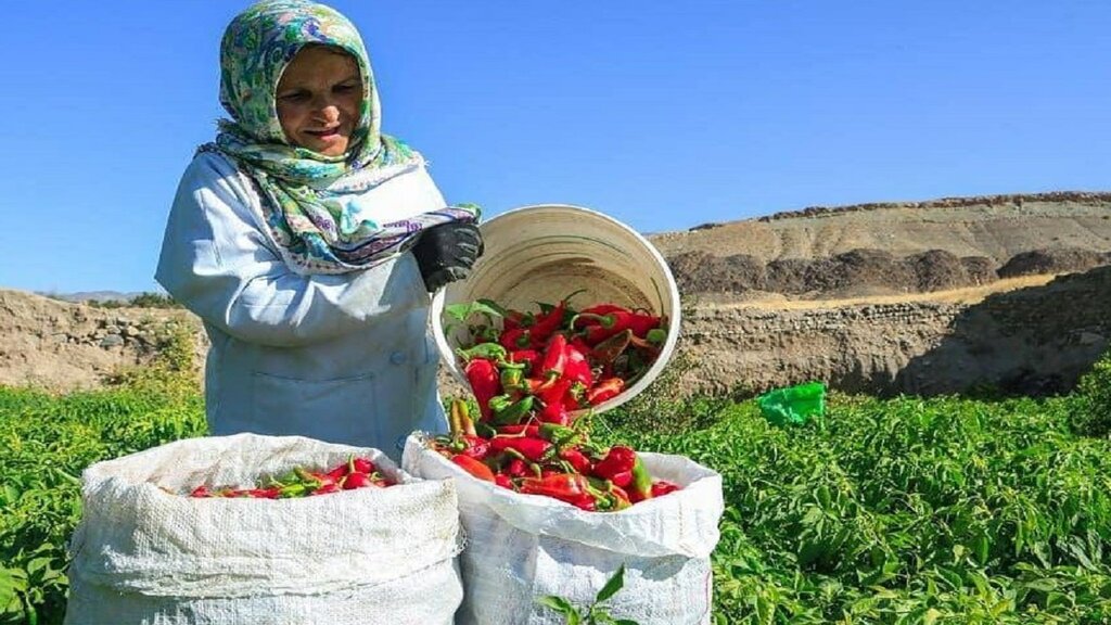 ببینید | تندترین روستای ایران کجاست؟