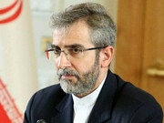 اظهارات معنادار علی باقری خطاب به ایرانیان خارج از کشور |  دولت، تضییع حقوق ایرانیان در هیچ نقطه‌ای از جهان را برنمی‌تابد