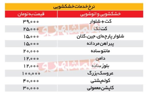 روایت عجیب از حال و روز صنفی که مشتریانش آب رفت | مردم هر چه را که بتوانند در خانه می شویند!