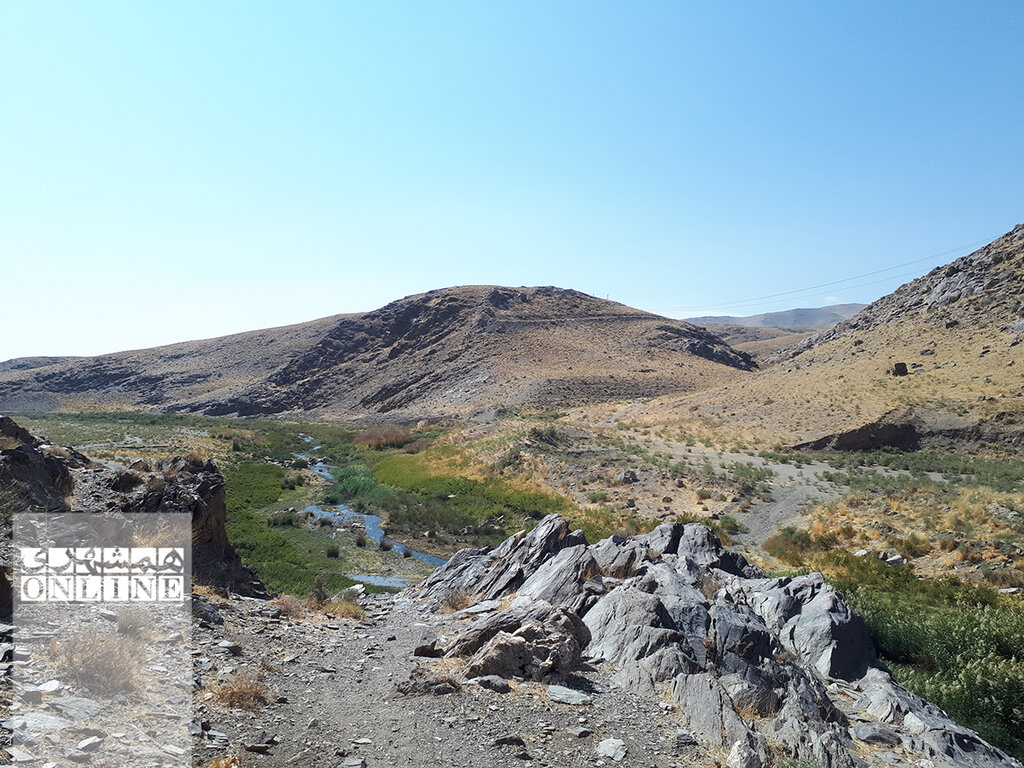 ببینید | ردپای آدم فضاییها در ایران | تصاویری از اهلی کردن سگ و اسب روی سنگنگارههای تیمره