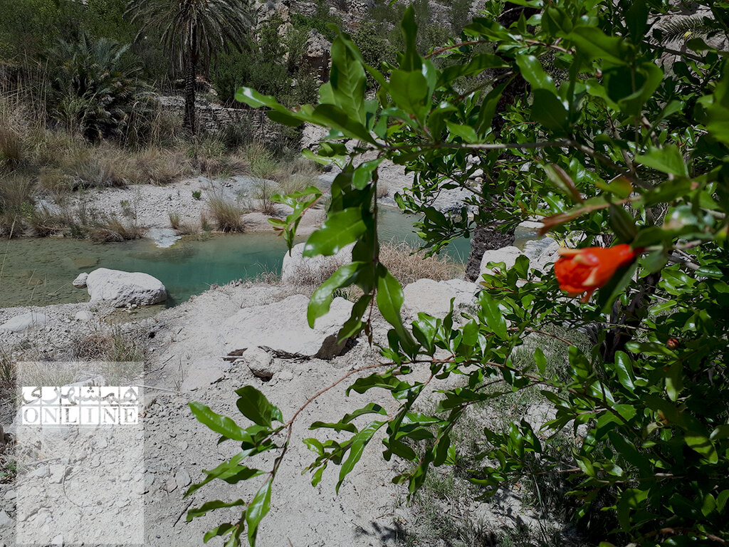پیشنهاد سفر برای نوروز | روستایی که نارنگیهایش معروف است | سیخوران بازمانده از دوران قاجار در بندرعباس