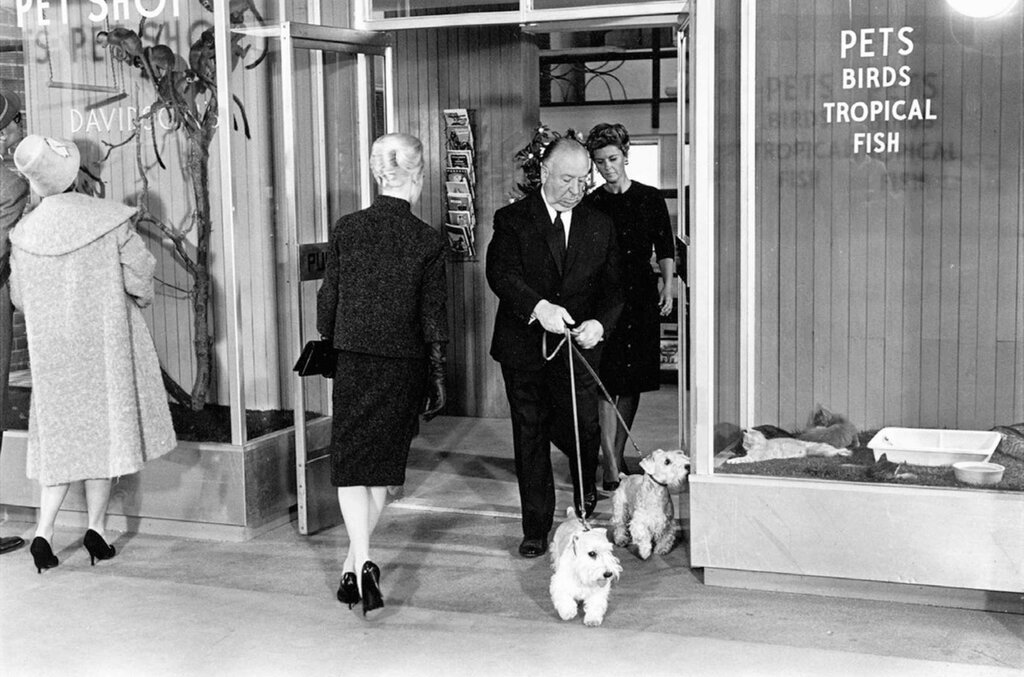 رازگشایی حضور هیچکاک در ۱۰ فیلم مشهورش | آقای کارگردان را در این عکسها پیدا کنید