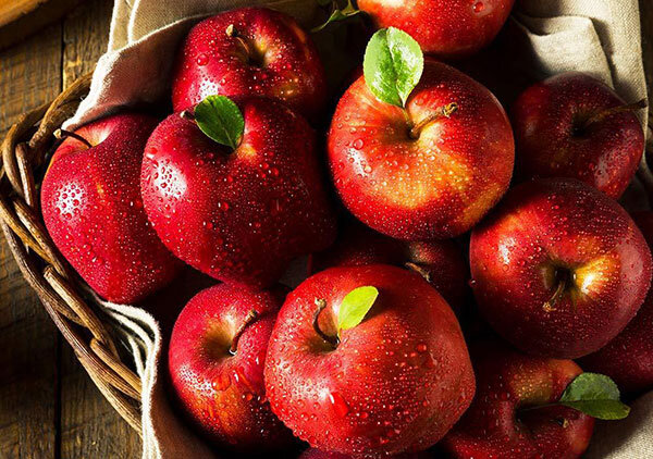 apple fruit - میوه سیب - خواص سیب