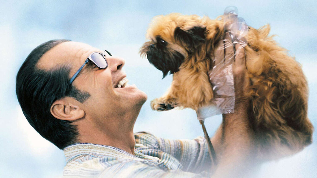 ۱۰ فیلم از بهترینهای سینمای جهان که دیدن آنها حالتان را خوب میکند